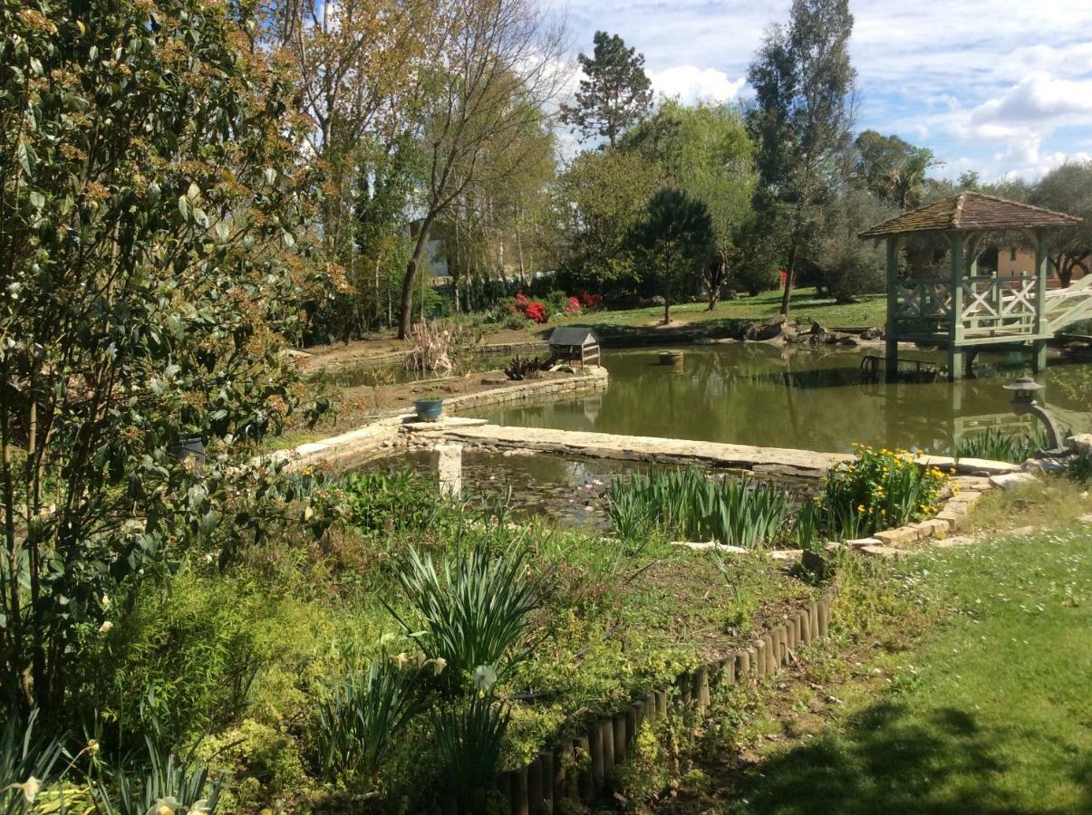 Gite Le Bois De Montpouillan Marmande Exterior foto